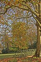 Cjp_2009_10_29_151430 (1)_HDR-D2.jpg